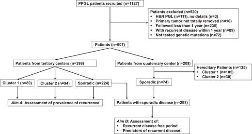Flow chart of patients enrolled in the study.