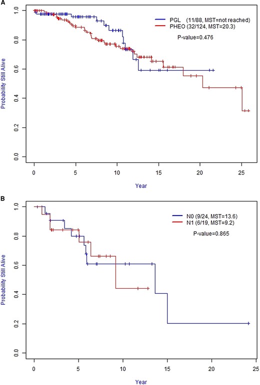 A, Overall Survival (OS) between Stage II PGL and PHEO. B, Overall Survival (OS) between Stage III N0 and N1 patients. Abbreviation: MST, median survival time (in years); PGL, paraganglioma; PHEO, pheochromocytoma.