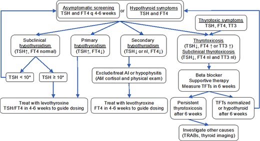 Algorithm for management of thyroid dysfunction in patients receiving ICI. *Consider lower threshold to treat subclinical hypothyroidism in younger patients, symptomatic patients, or in those with positive TPO or Tg antibodies. **Starting dose 1.6 µg/kg/day for severe symptoms or marked TSH elevation; 1.45 µg/kg/day for hypothyroidism following ICI-thyroiditis; 0.8 to 1.2 µg/kg/day for mild symptoms or TSH <10 mIU/L. Reduce doses for those at risk for complications (elderly or those with coronary artery disease). ***Starting dose 1.6 µg/kg/day with reduction for high-risk individuals. Abbreviation: TRAb, thyroid receptor antibody.