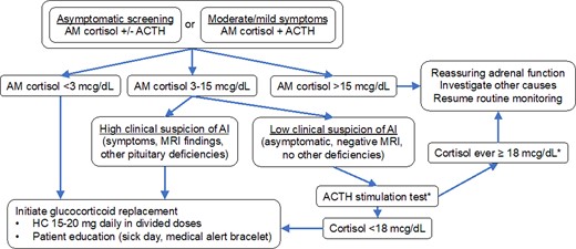 Algorithm for management of suspected adrenal insufficiency in ICI patients. Our approach favors empiric glucocorticoid replacement when cortisol levels are indeterminate and suspicion is high. *ACTH stimulation is only helpful to rule in, not to rule out, acute-onset secondary adrenal insufficiency.