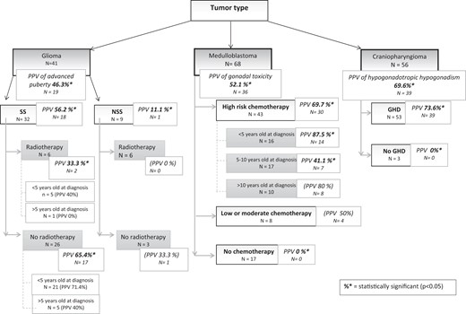 Positive predictive value (PPV) for tumor type and risk factors. The PPV of each hit is made compared with data from the same category. For example, radiotherapy vs no radiotherapy or <5 years vs >5 years. Values in bold and italics are those that are statistically significant while those in brackets are statistically insignificant.