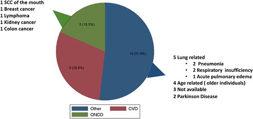 Causes of death. Pie chart of causes of death expressed in absolute number and percentage. SCC, squamous cell carcinoma.