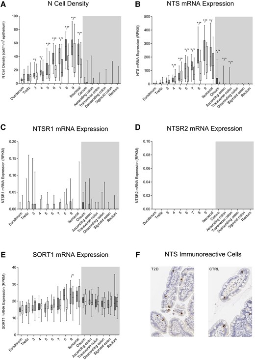 N cell density, neurotensin (NTS) messenger RNA (mRNA) expression, neurotensin receptor 1 (NTSR1) mRNA expression, neurotensin receptor 2 (NTSR2) mRNA expression, sortilin (SORT1) expression, and immunohistochemical neurotensin staining. A, N-cell density and B, mRNA expression of NTS; C, NTSR1; D, NTSR2; and E, SORT1 throughout the intestinal tract of healthy controls (CTRL) (dark bars, n = 12) and patients with type 2 diabetes (T2D) (light bars, n = 12) are depicted. No NTSR2 mRNA expression was observed. Locations in the small and large intestines are marked by white and gray background color, respectively. F, Enteroendocrine N cells in mucosal biopsies from a patient with T2D and a CTRL. Minimum to maximum ranges are shown as whiskers. An outlier (ileocecal N cell density of 275 cell/mm2) in the T2D group was omitted from plot A but kept in the analyses. No morphological differences between patients with T2D and CTRL were observed. Asterisks (left (*/) for CTRL, right (/*) for T2D) show statistically significant difference between location and reference (duodenum in small intestine and rectum in large intestine). RPKM, reads per kilobase of transcript per million mapped reads.
