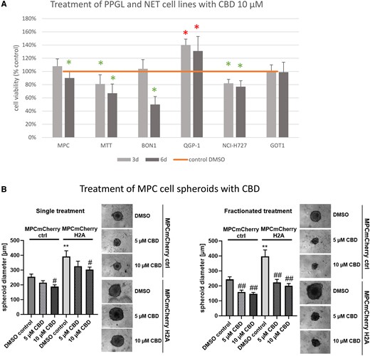 Cell viability results of different PPGL and NET cell lines and MPC cell spheroid data. (A) Cell viability of PPGL cell lines MPC, MTT, and NET cell lines BON1, QGP-1, NCI-H727, GOT1 after incubation with 10 µM CBD for 72 hours and 144 hours. (B) CBD reduced spheroid growth in a pseudohypoxic model. MPC cell spheroids generated from cells expressing HIF-2α (MPCmCherry H2A) or control cells (MPCmCherry EV) were treated with 5 µM or 10 µM CBD or DMSO as control (single treatment: day 4; fractionated treatment: day 4, 8, 11, 15). Spheroid diameter was determined 18 days after seeding. Four independent experiments (n = 12). Average ± SEM, one-way ANOVA with Bonferoni correction, vs MPCmCherry crtl, DMSO control **P < .01, vs DMSO control of the corresponding cell line #P < .05, ##P < .01.