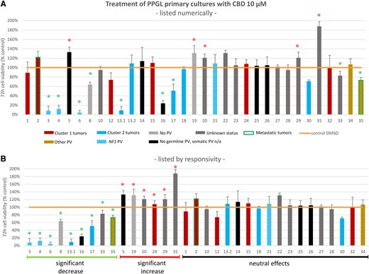 Cell viability of different human PPGL primary cultures (n = 33, n = 2 from the same patient) after incubation with 10 μM CBD for 72 hours (A) listed in numerical order and (B) listed in order of responsivity to CBD (significant decrease of cell viability, significant increase of cell viability, no significant increase or decrease of cell viability). Primary cultures 13.1 and 13.2 are from the same patient. Cluster 1-related PVs in red: SDHB (tumors 1, 32), SDHB and VUS in EPAS (tumor 2), SDHC (tumor 24), SDHD (tumor 15), VUS in VHL (tumor 12). Cluster 2-related PVs in blue: NF1 (tumors 3, 4, 6, 21; patterned blue), RET (tumors 13.1, 13.2, 17), HRAS (tumor 18), MAX (tumor 30). Other PVs in gold: BRCA (tumor 34), ATRX (tumor 35). Metastatic tumors 2, 35 framed in green. Germline and somatic testing was negative in tumors 8, 19 (light grey). Tumors with negative germline testing and not available somatic status in black. Tumors without available germline and somatic status (unknown status) in dark grey. The detailed listing of the germline/somatic status of the individual PPGL patients can be found in Supplementary Table S3 (50). Each cell viability experiment comprised 3 to 8 samples per drug concentration and patient. The mean values ± SD are shown. Green asterisk: significant decrease of cell viability P < .05. Red asterisk: significant increase of cell viability P < .05.