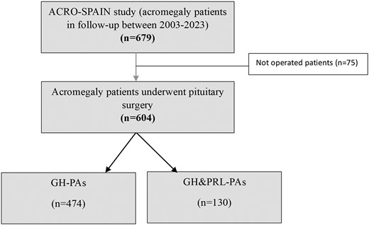 Study population. GH-PAs, growth hormone–secreting pituitary adenomas; GH&PRL-PAs, growth hormone–and prolactin-cosecreting pituitary adenomas.