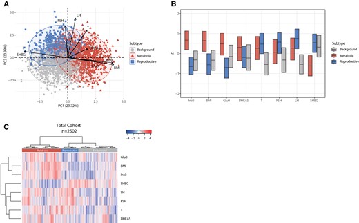 Principal component analysis (PCA) plot, box plot, and heat map of normalized variables of the 3 subtypes—total cohort. A, PCA based on 8 predefined variables. The metabolic subtype is highlighted in red triangles, the reproductive subtype is indicated with blue squares, and the background subtype is indicated with gray circles. The direction and length of the arrows indicate the contribution of that specific variable to define the clusters. B, Box plot indicating the median and interquartile ranges (IQR) for each normalized variable. The corresponding Z scores are shown on the y-axis. The metabolic, reproductive, and background subtypes are shown in red, blue, and gray. C, Heat map colors reflect the variable Z-scores. Red indicates high values and blue indicates low values. The 3 subtypes are indicated in the color bar on top of the graph. The metabolic subtype appears in red, the reproductive subtype in red, and the background subtype in gray. The row-based dendrogram indicates the relation and relative distances between variable distributions. BMI, body mass index; DHEAS, dehydroepiandrosterone sulfate; FSH, follicle-stimulating hormone; Glu0, glucose; Ins0, insulin; LH, luteinizing hormone; SHBG, sex hormone–binding globulin; T, testosterone.