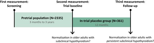 Timeline of the study. The pretrial population consisted of older adults with ≥1 elevated TSH measurement (≥4.60 mIU/L) and an fT4 level within the laboratory-specific reference range, during the previous 3 months to 3 years (screening). The second measurement was at the trial baseline to assess whether they had persistent subclinical hypothyroidism or had normalized their TSH levels. The in-trial placebo group consisted of older adults with ≥2 elevated TSH measurements, both at the screening and trial baseline, receiving placebo in the clinical trials. After 12 months, at the (third) follow-up measurement, it was determined whether the in-trial placebo group had normalized their TSH levels.