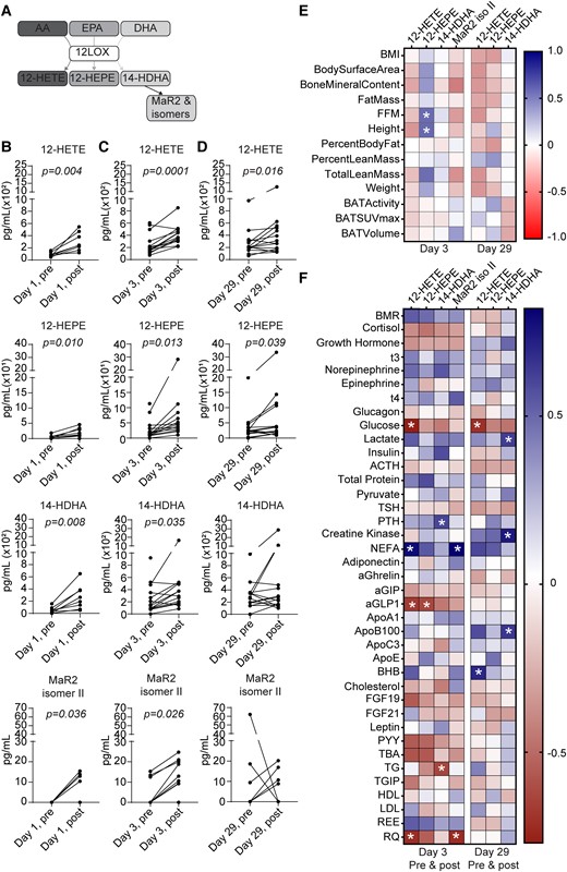 Cold exposure and mirabegron treatment increase 12-LOX products in plasma. (A) Scheme depicting biosynthetic pathways leading to formation of 12-LOX products from arachidonic acid (AA), eicosapentaenoic acid (EPA), and docosahexaenoic acid (DHA). (B-D) Quantification of 12-LOX products 12-HETE, 12-HEPE, 14-HDHA, and MaR2 isomer II was carried out via targeted LC-MS/MS and is presented as pg/mL plasma. Samples were obtained from healthy volunteers before (“pre”; 08:00 hours) and after (“post”; 13:00 hours) cold exposure (B), and before and after daily mirabegron on Days 3 (C) and 29 (D). n = 8 per group (B) or n = 14 per group (C and D). Paired Student's t-tests were carried out for each product and P values of less than .05 are displayed. (E) Heatmap illustrating Pearson's correlations between each 12-LOX product and indicated anthropometric parameters, BAT volume, and activity at Days 3 (n = 12-14) and 29 postmirabegron treatment (n = 11-13). (F) Heatmap illustrating Pearson's correlations between each 12-LOX product and plasma metabolites at Day 3 (n = 11-13) or Day 29 (n = 13) (premirabegron and postmirabegron). BMI, body mass index; FFM, fat-free mass; BMR, basal metabolic rate; NEFA, nonesterified fatty acid; aGIP, glucose-dependent insulinotropic polypeptide; aGLP1, glucagon-like peptide 1; BHB, β-hydroxybutyrate; PYY, peptide YY; TG, triglyceride; TGIP, total glucose-dependent insulinotropic polypeptide; REE, resting energy expenditure; RQ, respiratory quotient. *P < .05.