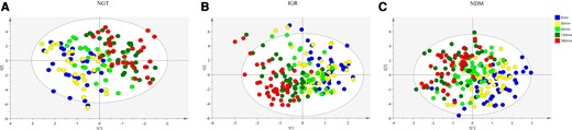 Partial least squares discriminant analysis score plots of metabolites during oral glucose tolerance test (n = 113). A, Normal glucose tolerance (NGT, n = 30); B, impaired glucose regulation (IGR, n = 40); and C, newly diagnosed type 2 diabetes mellitus (NDM, n = 43).