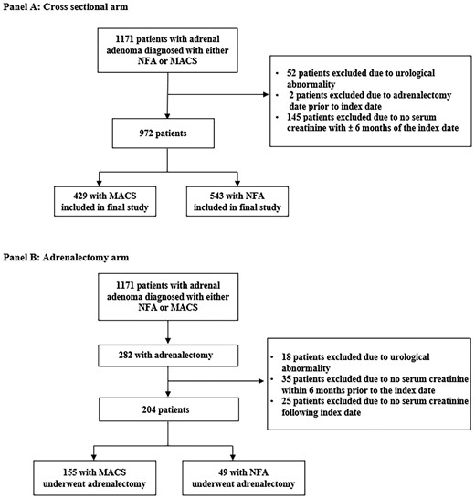 Flow diagram depicting the selection process of patients entering the study. A, Cross sectional arm. B, Adrenalectomy arm. Index date is the date of adrenalectomy. MACS, mild autonomous cortisol secretion; NFA, nonfunctioning adrenal adenoma.
