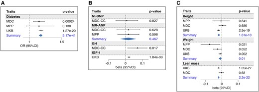 Association of PAM score with the outcomes. The forest plots represent the association of the PAM score with diabetes (A); natriuretic peptides, GH, and IGF-1 (B); GH-related anthropometric traits: height, weight, and lean mass (C). Betas represent the estimates of the linear association of each unit-increase of the score with respect to the standardized outcome. Odds ratios obtained through logistic regression refer to the risk associated with each unit of the PAM score. Summary refers to the estimates obtained from the meta-analysis of more cohorts. Abbreviations: MDC, Malmö Diet and Cancer cohort; MPP, Malmö Preventive Project cohort; MR-ANP, midregional atrial natriuretic peptide; Nt-BNP, N-terminal brain natriuretic peptide; PAM, peptidylglycine-α; UKB, UK Biobank.