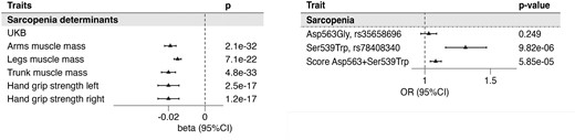 Association of the PAM score with traits used for sarcopenia definition and sarcopenia outcome. The forest plots represent the association of the PAM score with traits used to define Sarcopenia outcome in the UKB (A), which is then presented in (B). In panel B the association of the 2 variants and the score is presented. Betas represent the estimates of the linear association of each unit increase of the score with respect to the standardized outcome. Odds ratios obtained through logistic regression refer to the risk associated with each unit of the PAM score. Abbreviations: PAM, peptidylglycine-α; UKB, UK Biobank.