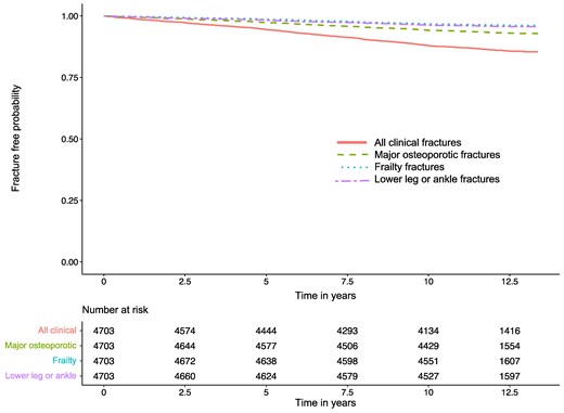 Kaplan–Meier fracture-free survival curve in persons with type 2 diabetes mellitus and overweight or obesity.