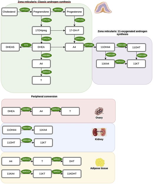 For image description, please refer to the figure legend and surrounding text.