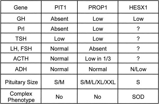 Comparison of phenotypes produced by PIT1, PROP1, and HESX1 mutations.