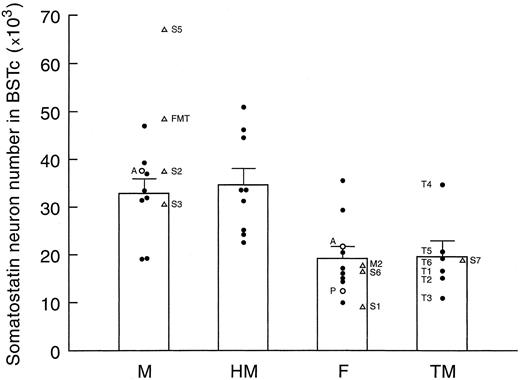 BSTc neuron numbers. Distribution of the BSTc neuron numbers among the different groups according to sex, sexual orientation, and gender identity. M, Heterosexual male reference group; HM, homosexual male group; F, female group; TM, male-to-female transsexuals. The sex hormone disorder patients S1, S2, S3, S5, S6, and M2 indicate that changes in sex hormone levels in adulthood do not change the neuron numbers of the BSTc. The difference between the M and the TM group (P < 0.04) is also statistically significant according to the sequential Bonferonni method if S2, S3, and S5 are included in the M group or if S7 is included in the TM group (P ≤ 0.01). Note that the number of neurons of the FMT is fully within the male range. Whether the transsexuals were male oriented (T1, T6), female oriented (T2, T3, T5), or both (T4) did not have any relationship with the neuron number of the BSTc. The same holds true for heterosexual and homosexual men. This shows that the BSTc number of somatostatin neurons is not related to sexual orientation. A, AIDS patient. The BSTc number of neurons in the heterosexual man and woman with AIDS remained well within the corresponding reference group (see Fig. 1), so AIDS did not seem to affect the somatostatin neuron numbers in the BSTc. P, Postmenopausal woman. S1 (♀ 46 yr of age): adrenal cortex tumor for more than 1 yr, causing high cortisol, androstendione, and testosterone levels. S2 (♂ 31 yr of age): feminizing adrenal tumor that induced high blood levels of oestrogens. S3 (♂ 67 yr of age): prostate carcinoma; orchiectomy 3 months before death. S5 (♂ 86 yr of age): prostate carcinoma; prostatectomy; orchiectomy, and antiandrogen treatment for the last 2 yr. S6 (♀ 25 yr of age): Turner syndrome (45,X0; ovarian hypoplasia). M2 (♀ 73 yr of age): postmenopausal status.