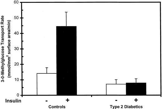 Glucose transport rates in isolated human adipocytes. Subcutaneous abdominal wall adipose tissue was obtained by open biopsy from normoglycemic controls and untreated patients with type 2 diabetes. Isolated adipocytes were prepared, and initial rates of 3-O-methyglucose uptake were measured under basal conditions and after stimulation by maximal insulin. Transport rates were normalized per cell surface area, and data are the means ± se of eight controls and eight type 2 diabetics.