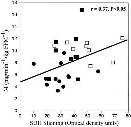 Association between SDH staining activities and insulin sensitivity (M), including sedentary lean ▪, obese •, and trained □ subjects; n = 29. The r value represents the simple correlation coefficient for these subjects combined. The designated α indicates that this relationship was significant.