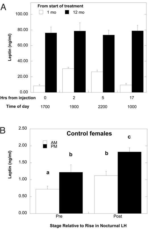 A, Mean ± sem serum concentrations of leptin after the daily injection of leptin at month 1 (white bars) and month 12 (black bars) of the study. Hour 17 also corresponds to 7 h before the next daily injection. B, Mean ± sem serum concentrations of daytime and nighttime leptin in Con females before the developmental increase in bioLH (14 months of age) and at age of the first detectable increase in bioLH. Different letters above the bars indicate that values are significantly different from each other (P < 0.05).