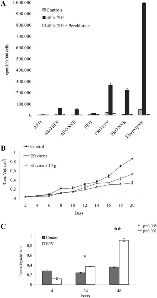 RT inhibitors restore iodine uptake in undifferentiated thyroid tumor cells either in vitro or in vivo and down-regulate the growth of anaplastic thyroid tumor xenografts in athymic mice. A, ARO and FRO cells were incubated in the presence and absence of, respectively, 10 and 20 μm EFV or in the presence of 350 μm NVR for 10 d and were then harvested, counted, plated in 24-well plates, and further incubated in the same conditions in the presence and absence of 2 mU/ml human rTSH for 48 h. Primary cultures of human thyrocytes were used as positive controls and incubated in the presence and absence of 2 mU/ml human rTSH for 48 h. For the assay, the medium was removed and incubated in HBSS containing 10 μm NaI and carrier-free Na125I. Some of the reactions received this assay buffer, supplemented with the NIS inhibitor NaClO4, to control the specific uptake. Accumulated iodine was extracted with ethanol at −20 C and counted in a gamma counter. Results are normalized by cell numbers and are expressed as counts per minute per 100,000 cells. B, ARO cells were inoculated in athymic mice and injected 5 d/wk with 20 mg/kg EFV starting 1 d after tumor xenografts (open squares) or with DMSO (closed squares). In a group of animals, the treatment was discontinued 14 d after tumor injection (open triangles). Tumor growth was monitored by caliper measurements and reported as tumor volumes. C, Mice xenografts of ARO cells were continuously treated with 20 mg/kg EFV for 3 wk, stimulated twice with 0.5 μg of human rTSH every 24 h; on the day after the last injection, 10 μCi Na125I was delivered ip. Animals were killed 4, 24, and 48 h after radioactive iodine injection; iodine uptake was measured in tumors and organs, normalized by weight, and expressed as a ratio between tumor and thyroid radioactivity.