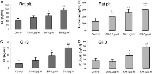 Shh increases GH and prolactin secretion from pituitary normal and tumor cells. Rat pituitary cells in primary culture or the GH3 mamosommatotrophinoma cell line were treated for 24 h with 0.2 μg/ml, 1 μg/ml, or 5 μg/ml Shh, and GH (A and C) and prolactin (B and D) were measured in the supernatants by RIA as described in Materials and Methods. Results present the mean ± se (n = 4) of one representative of three independent experiments. *, P < 0.01; **, P < 0.005; ***, P < 0.001 with respect to control values.