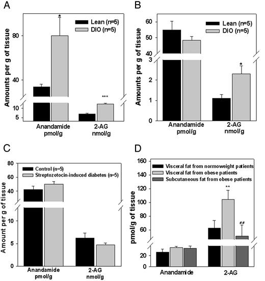 Dysregulation of endocannabinoid levels in obese mice and humans. A, Endocannabinoid levels in the pancreas of lean and mice with DIO. *, ***, P < 0.05, 0.005 vs. controls, respectively, as assessed by ANOVA followed by the Bonferroni’s test. B, Endocannabinoid levels in the epididymal fat of lean and DIO mice. *, P < 0.05 vs. controls, as assessed by ANOVA followed by the Bonferroni’s test. C, Endocannabinoid levels in the pancreas of streptozotocin-treated mice, a model of type 1 diabetes. D, Endocannabinoid levels in the visceral adipose tissue of normoweight and overweight/obese humans and in the sc fat of obese patients (Table 1). **, P ≤ 0.01 vs. visceral fat from normoweight volunteers; ##, P < 0.01 vs. visceral fat from obese patients as assessed by the Kuskal-Wallis nonparametric test.