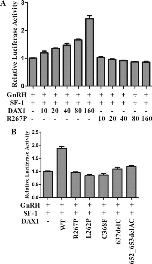 Luciferase assay for GnRH transcriptional activity. GT1-7 cells were transfected with human GnRH promoter (−1008 to +17 bp, 80 ng) and full-length SF-1 (40 ng) and full-length WT or mutant DAX1. A, A titration of DAX1 plasmid (10, 20, 40, 80, and 160 ng) was used. The pRL-SV40 was used as an internal control for transfection efficiency. B, GT1-7 cells were transfected with WT and mutant DAX1 (160 ng) and SF-1 (40 ng). The results are represented as the fold of the empty vector control and as the mean ± sem from at least three independent experiments.
