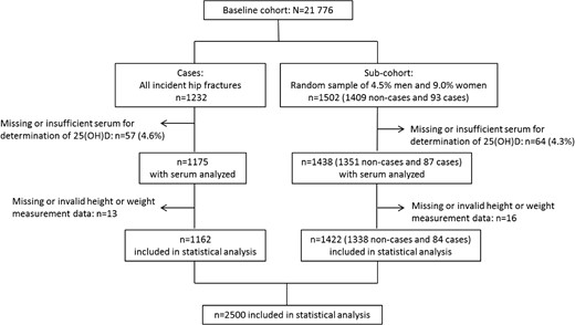 Inclusion of participants to the case and subcohort groups in the NOREPOS study. The cases present in the subcohort (n = 93 originally sampled; n = 84 included in statistical analysis) are duplicates of hip fracture patients occurring in the case group.
