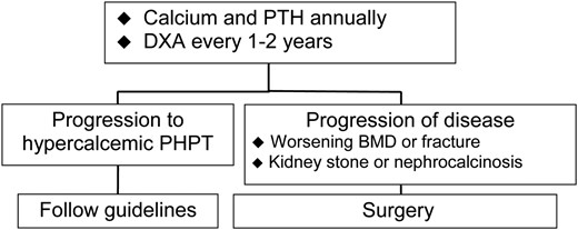 Algorithm for monitoring patients with normocalcemic PHPT.