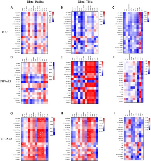 (A-C) Pearson r correlation matrix representing the relationship among the 19 metabolites with HR-pQCT parameters of the distal radius, HR-pQCT parameters of the distal tabia, and selected biochemical markers in patients with PHO, respectively. (D-F) Pearson r correlation matrix representing the relationship among the 19 metabolites with HR-pQCT parameters of the distal radius, HR-pQCT parameters of the distal tabia, and selected biochemical markers in patients with PHOAR1, respectively. (G-I) Pearson r correlation matrix representing the relationship among the 19 metabolites with HR-pQCT parameters of the distal radius, HR-pQCT parameters of the distal tabia, and selected biochemical markers in patients with PHOAR2, respectively. *P < .05, **P < .01.