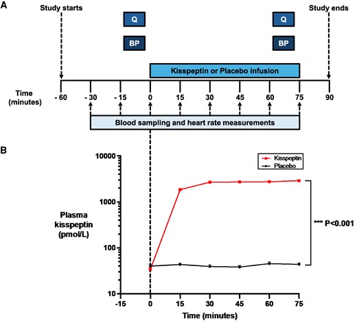 Protocol schematic and effects of kisspeptin administration on circulating kisspeptin levels. A, Ninety-five eugonadal participants completed a randomized, double-blind, 2-way crossover, placebo-controlled protocol. Participants attended for 2 study visits each, in random order: once for a 75-minute intravenous kisspeptin-54 infusion (1 nmol/kg/h) and again for a rate-matched placebo. Participants completed psychometric questionnaires (Q) and had blood pressure measurements (BP) before and toward the end of kisspeptin and placebo administration. Blood sampling (to measure circulating reproductive hormone and cortisol levels) and heart rate measurements took place at 15-minute intervals from −30 to 75 minutes. B, Kisspeptin administration resulted in increased circulating kisspeptin levels reaching a plateau at 30 minutes after initiation. Therefore, circulating kisspeptin levels were stable during the intrainfusion psychometric assessments. Groups were compared by 2-way analysis of variance with Bonferroni multiple comparison test. Data depict mean ± SEM. N = 95 (N = 63 male participants and N = 32 female participants).
