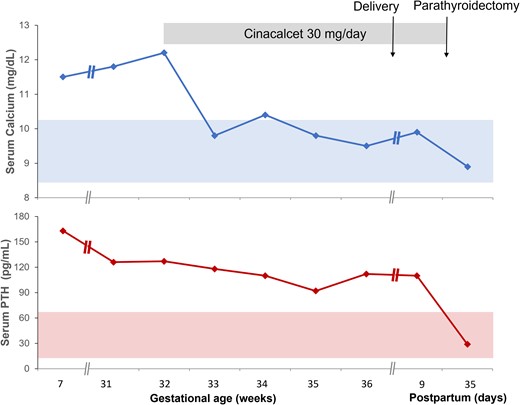 Temporal changes in serum calcium (top figure) and serum PTH (bottom figure) at various stages of the pregnancy and postpartum period. Note that her initial evaluation with endocrinology occurred at about 7 weeks gestation, although the pregnancy was unknown to the patient at that time. She was lost to follow-up until 31 weeks gestation when she was referred to endocrinology again.