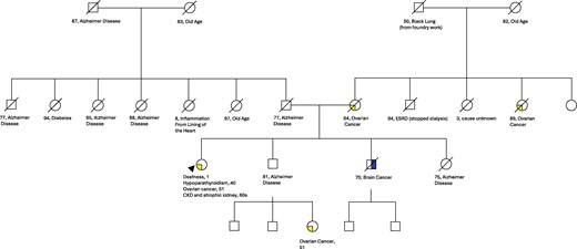 Family pedigree with absent history of hypoparathyroidism, sensorineural deafness, and renal dysplasia (HDR) syndrome phenotypes.