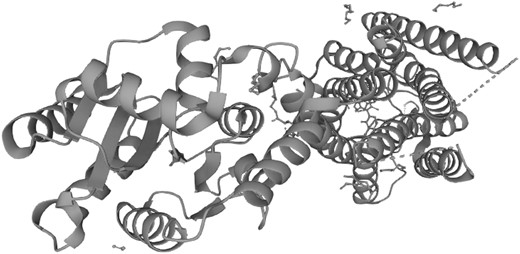 Structural variants of the GNRHR gene analyzed using Polymorphism Phenotyping v2.