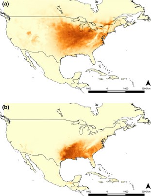 Prediction of present distribution range of (a) americana (X/4 fused form) and (b) texana (unfused form) estimated with maxent using the WorldClim dataset.