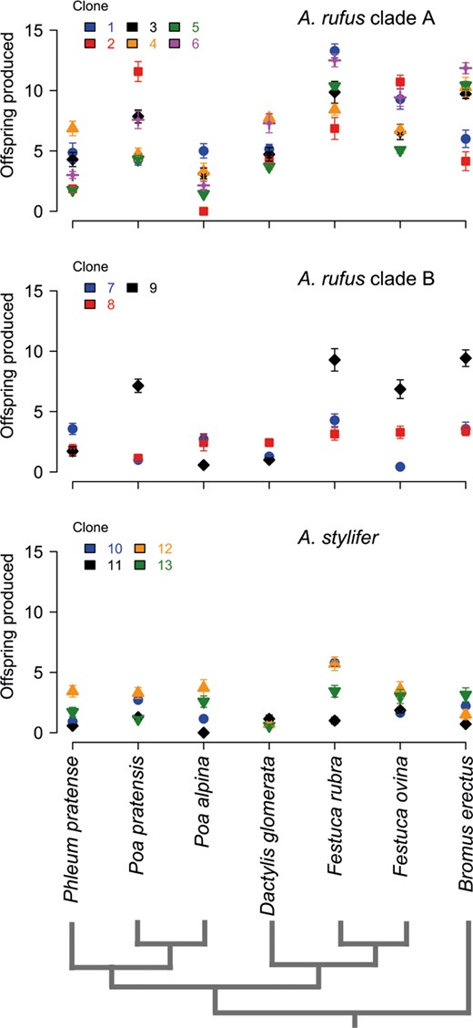 Number of offspring produced by different asexual Aptinothrips lineages on seven host plant species. Every panel depicts the asexual lineages of an independently evolved asexual clade (identified in van der Kooi and Schwander (2014)). For every lineage, the mean ± 95% confidence interval (assuming a normal distribution) is shown