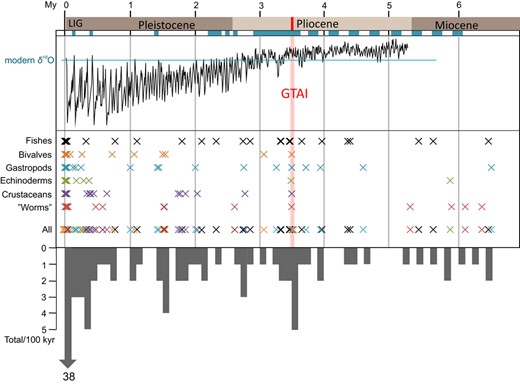 Distributions of inter‐oceanic divergence (time) estimates in different higher taxa. Net mtDNA sequence distances (TN + Γ) from pair‐wise inter‐population comparisons (Table 2) were scaled and plotted on a time axis using the tentative group‐specific divergence rates: ca 11.1% My−1 (for bivalves), 6.1% My−1 (for gastropods), 6.0% My−1 (for ‘worms’), 4.4% My−1 (for echinoderms), 4.3% My−1 (for crustaceans) and 1.1% My−1 (for fishes). The numbers of events are compiled in the histogram, each bar represents ‘a 100‐ky interval’. Globally distributed benthic δ18O records (Lisiecki & Raymo, 2005), indicating the pattern of climate variation over the past 5 million years, are plotted on the same time axis. The blue bars on the time axis are intervals related to high water levels in the Arctic (e.g. Miller et al., 2010)