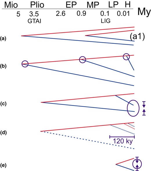 Illustration of the categories of inferred trans‐Arctic histories of Pacific (red) versus. Atlantic (blue) lineages in amphi‐boreal taxa. The schematic scale is not linear, and indicates division into Miocene (>5 My), Pliocene (>2.6), Early Pleistocene (>0.9), Middle Pleistocene (>0.13), Late Pleistocene (>0.01), and Holocene time frames. GTAI, Great Trans‐Arctic Interchange; LIG, last interglacial ca 120 ky. The patterns are as follows: (a) long vicariant histories (descending from the Pliocene–Early Pleistocene), with subcategory (a1) more recent vicariant histories (from the Middle Pleistocene, 1–0.2 My); (b) several (2–4) successive trans‐Arctic divergence events; (c) possible secondary contact following repeated dispersal; (d) late‐ or post‐glacial dispersal, <130 ky (incomplete lineage sorting or otherwise close relationship); (e) post‐glacial contact of shallow (LIG) lineages in the Arctic basin. See further in Results
