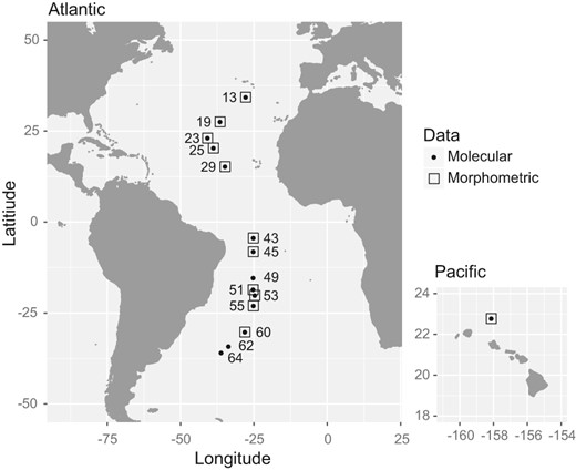 Sampling locations of Limacina bulimoides along the basin‐scale Atlantic Meridional Transect (AMT22, left), as well as in the Pacific Ocean off Hawaiʻi (right). Numbers indicate the station number for each site, and symbols indicate the type of data that were obtained (see legend)