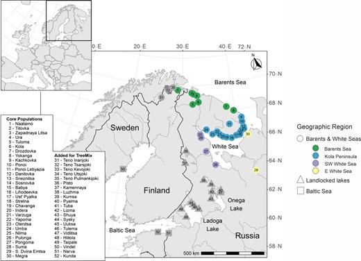Map of the sampling locations. Colours indicate populations analysed in detail in this study, whereas grey indicates populations added for the TreeMix analysis. Different shapes represent major geographic regions (circles: Barents and White Seas, squares: Baltic Sea, triangles: landlocked freshwater locations), whereas colours indicate sub‐regions within the Barents and White Seas (green: Barents Sea; blue: Kola Peninsula; purple: South‐West White Sea; yellow: East White Sea). See Pritchard et al. (2018) for the sampling locations for the reanalysed Teno River data set