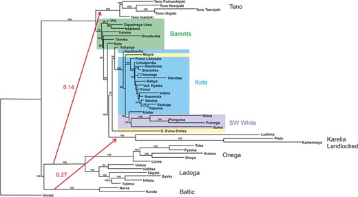 Results of the TreeMix analysis. Block colours show geographic regional groupings as in Figures 1 and 2. Numbers indicate nodal support based on 100 bootstrap trees without migration. Red arrows show long‐distance gene flow events inferred by TreeMix, with numbers indicating migration weight. The tree is unrooted