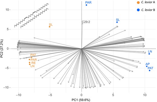 Principal Component Analysis of population‐specific substances in cuticular hydrocarbon profiles of C. levior A and B. Note that the arrow representing C29:2 (nonacosadiene) is the strongest one positively associated with the Paracou‐B population. Grey arrows indicate the axis association of CHC compounds