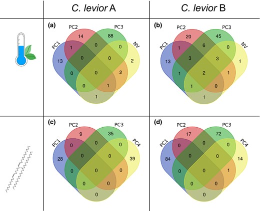 Number of significantly associated SNPs of (a, b) environmental and (c, d) chemical association analyses within (a, c) C. levior A and (b, d) C. levior B. For both analyses, PC1–PC4 refer to PC axes from Principal Component Analyses. NV refers to the percentage of non‐vegetated landscape and was not part of the PCA