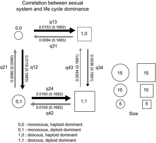 Models of the correlation between traits in brown algae. Binary states are described at the bottom of each panel. Transition rates follow the nomenclature in BayesTraits software (http://www.evolution.rdg.ac.uk/BayesTraitsV3.0.1/BayesTraitsV3.0.1.html). Square boxes indicate the most likely ancestral state (see ancestral state estimations in Methods), sizes of squares/circles represent the abundance of each state in the set of sampled species, and arrow thickness is proportional to the rate of transition between states, which is indicated alongside the arrows (standard deviations in parentheses)
