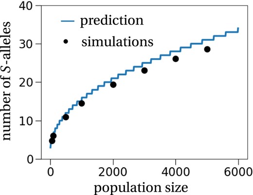 The number of S‐alleles in a finite population. The general method to estimate the number of S‐alleles as proposed by Wright (1939) and made explicit by our theoretical approach (solid line computed by Equation (8)) predicts well the number of S‐alleles in a finite population, obtained from stochastic simulations (dots). Each simulation was initiated with 30 different S‐alleles, and the number of S‐alleles was recorded every 100 generations for 10 000 generations after a 10 000 generation burn‐in period. The mutation rate was set to u = 1/(100N), i.e. one mutation every 100 generations on average. This procedure was repeated 50 times for every population size.