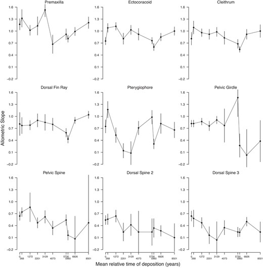 Allometric slopes through time. For each sample, the slope and standard error estimated by the allometric model are plotted