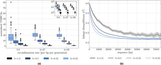 (a) Time to the most recent common ancestor (TMRCA) as a function of the germination rate b and scaled by results under b=1. For each germination rate, three recombination rates per site are presented (r=0, r=10−7 and r=10−6. Boxes describe the 25th (Q1) to 75th percentile (Q3), with the lower whisker representing Q1‐1.5 × (Q3‐Q1) outlier threshold and the upper whisker is calculated analogously. The mean is plotted between Q3 and Q1. Each boxplot represents the distribution of 200 TMRCA values over 200 sequences of 0.1 Mb. Per sequence the oldest TMRCA is retained. (b) Monotonous decrease of linkage disequilibrium as a function of distance between pairs of SNPs, setting r=10−7 per generation per bp, sequence length to 105 bp. Although population size is 500, linkage decay was calculated by subsetting 200 individuals, purely to constrain the computational burden. In total 200 replicates were used for TMRCA and LD calculations. Shaded areas represent the 95% confidence interval.