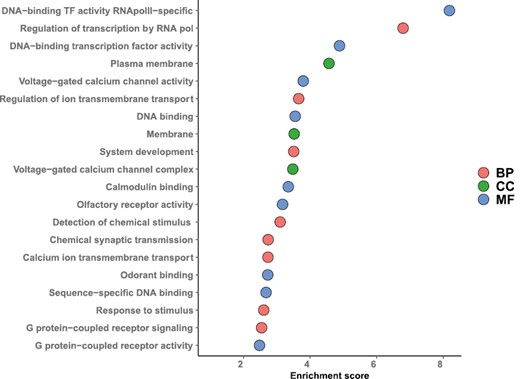 Top 20 GO terms enriched in differentially expressed genes in Malpighian tubules after perfume collection. GO terms are ordered by Fisher’s exact p-value. BP = biological process; CC = cellular component; GO = gene ontology; MF = molecular function.
