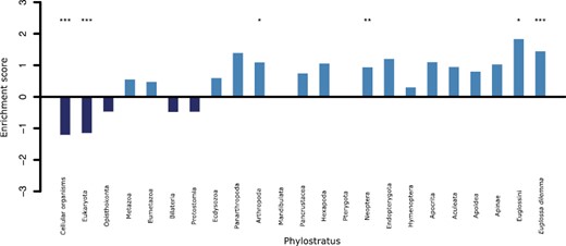 Barplot showing the enrichment of each phylostratus in the genes which are differentially expressed in Malpigihan tubules after perfume collection. Phylostratus which are over-represented have an enrichment score greater than 0. Significantly under- or over-represented phylostratus are highlighted with * to show significance where *p < .05, **p < .01, and ***p < .001 where p-values are adjusted using a false detection rate correction.
